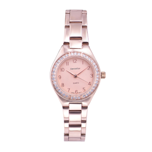 Reloj Aerostar AE60001ARG Paris - AE60001ARG