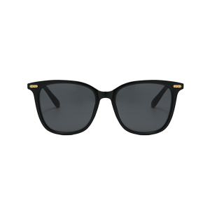 Lentes de Sol Aerostar AE3301