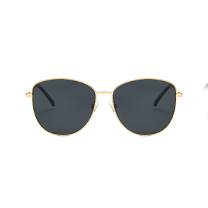 Lentes de Sol Aerostar AE4301