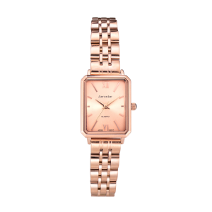 Reloj Aerostar Princess 60021GRGR