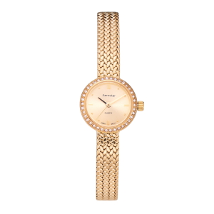 Reloj Aerostar Stella 60121GG