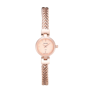 Reloj Aerostar Vittoria 60221GRGR
